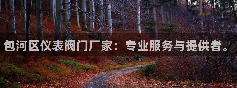 新宝测速gg