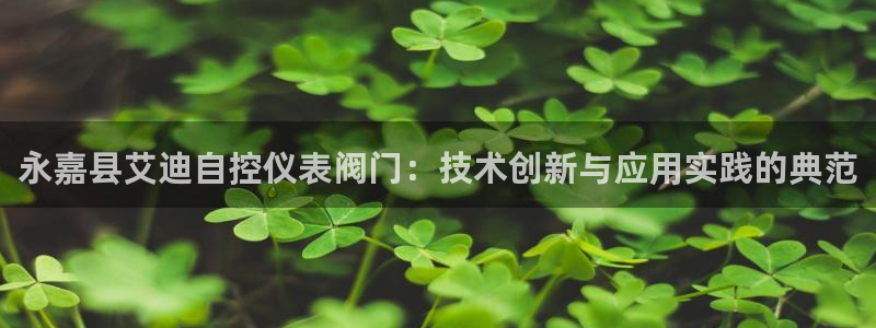 新宝GG最高返点多少