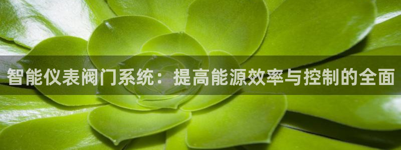 新宝GG电话