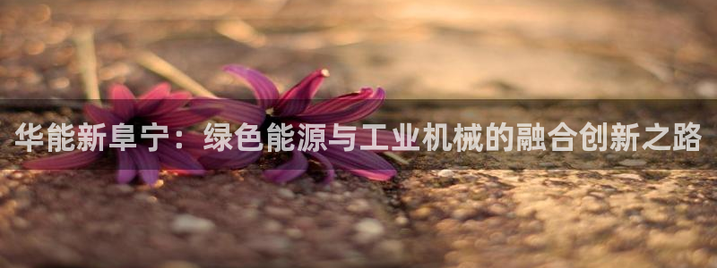 新宝gg信息