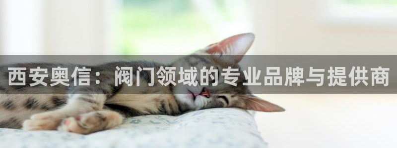 新宝gg游戏