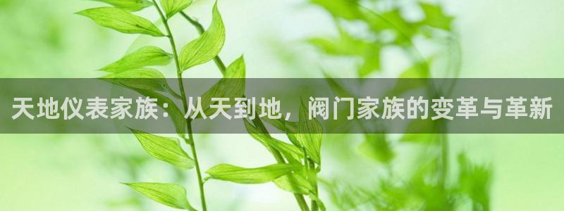 新宝 gg创造