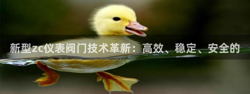 新宝GG娱