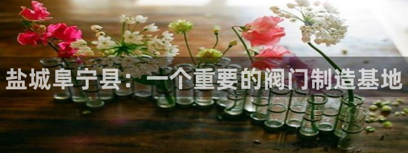 下载新宝gg怎么下载