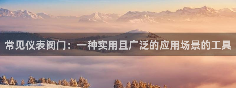 新宝gg平