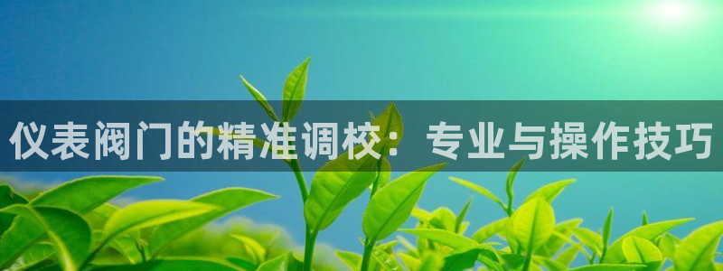 新宝gg系列