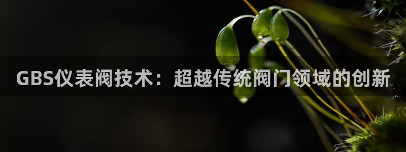 新宝GG 扣.772332