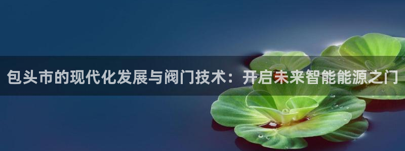 11新宝gg