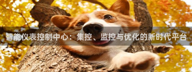 新宝gg手机app