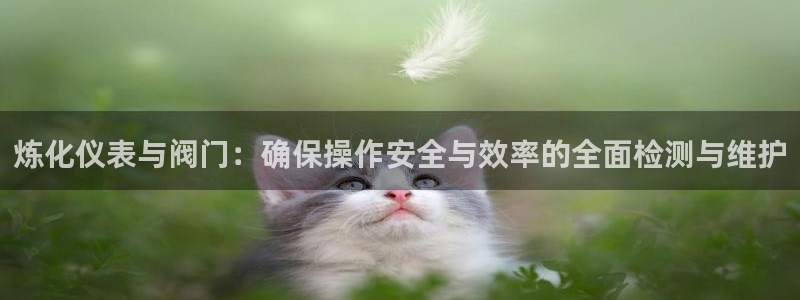 新宝gg总管