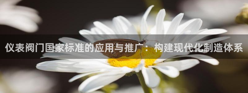 重庆新宝gg