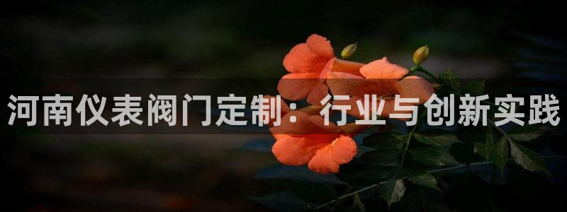 新宝gg如何代理