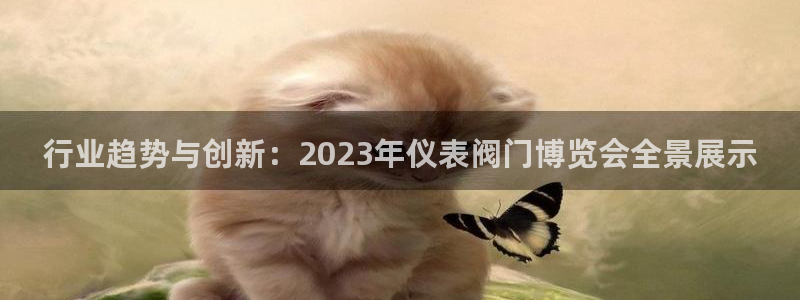 新宝gg开好