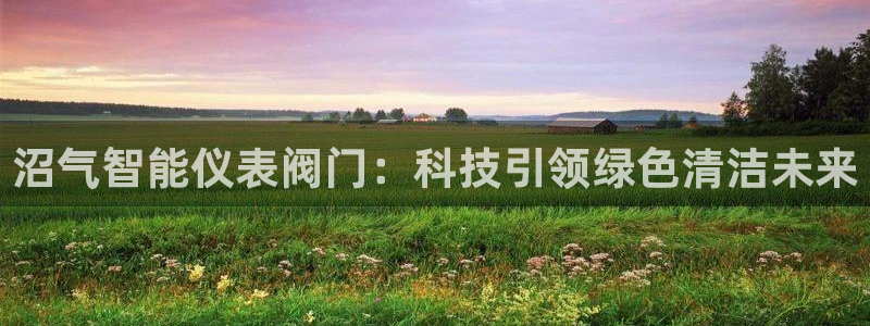 新宝gg主
