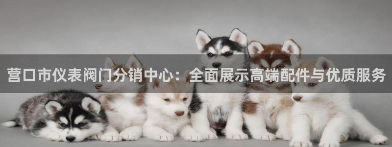 【新宝gg】