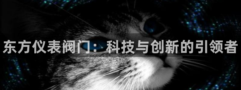 新宝gg开号