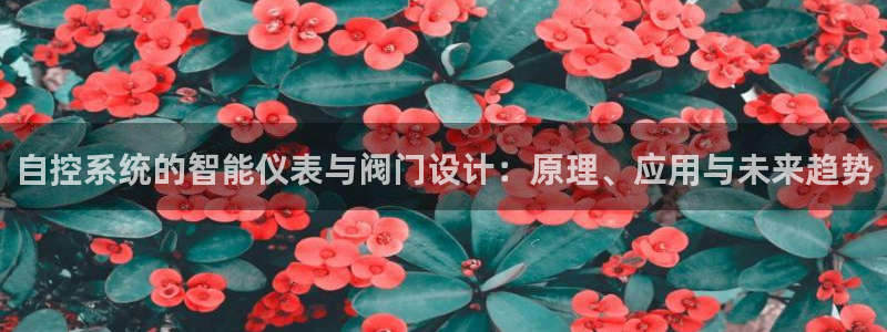 新宝gg cqdellar
