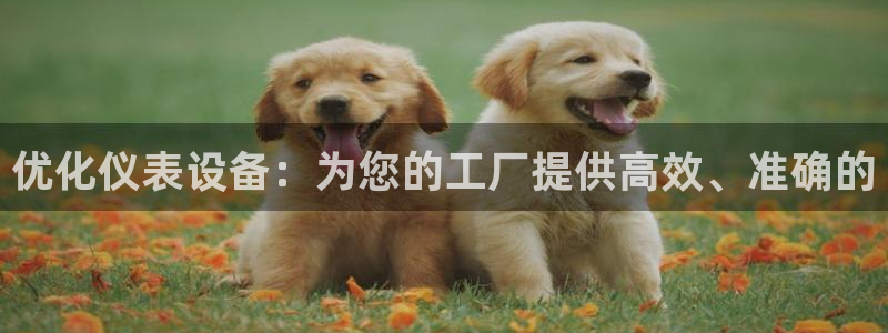 新宝gg怎么开户