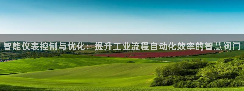 新宝gg成立