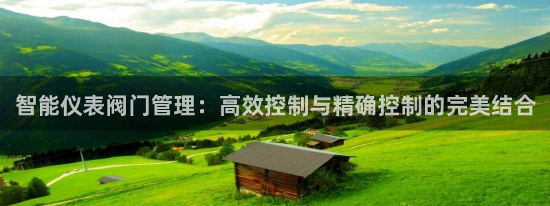 新宝gg平