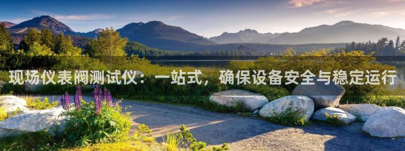 新宝gg主管都是谁