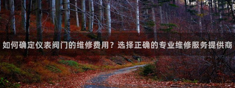 新宝gg合作