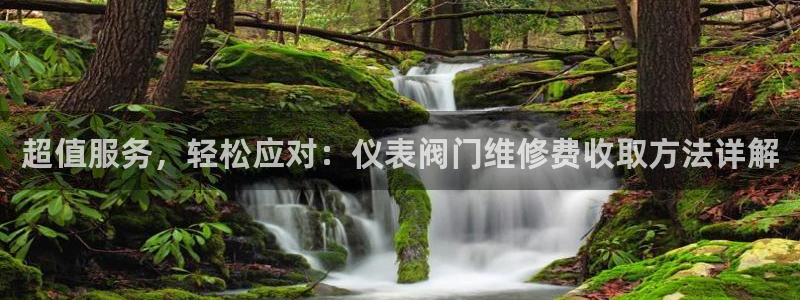 新宝GG反点