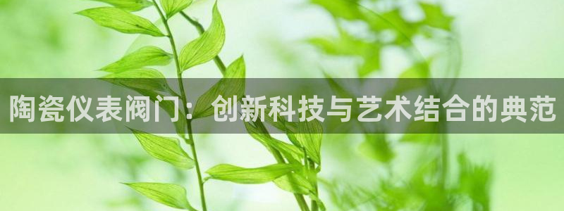 新宝GG都有哪些计划