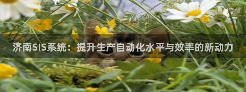 新宝亚洲GG