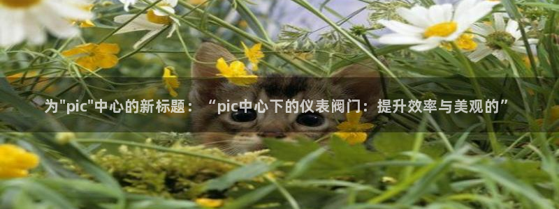 新宝gg打发
