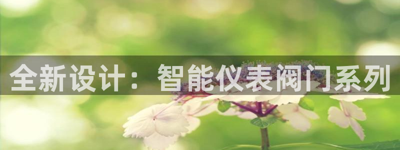 gg新宝创新