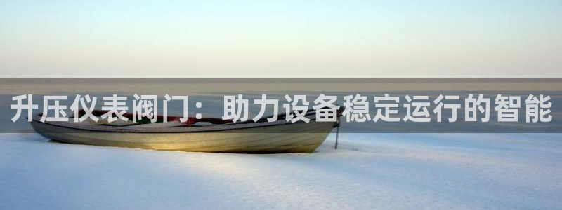 新宝gg挂机软件下载