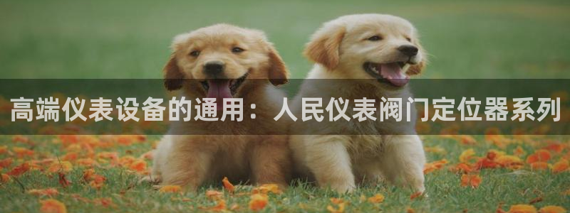 广东新宝电器gg