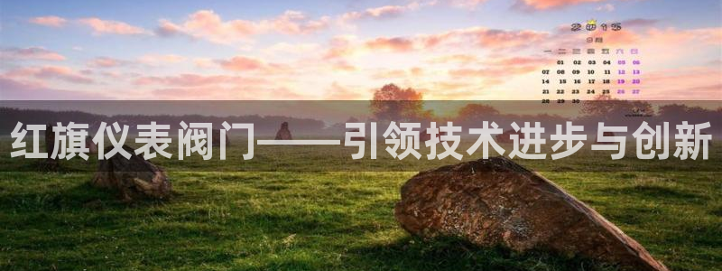 新宝gg手机版下载