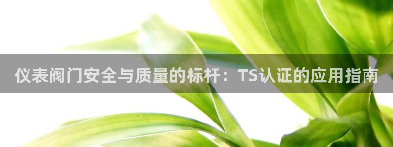 新宝GG苹果版