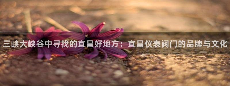 新宝gg娱乐客户端下载