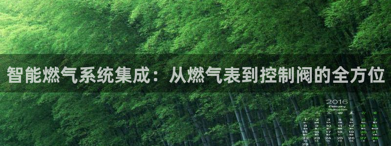 谁有新宝GG