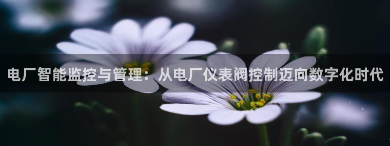 新宝gg官方