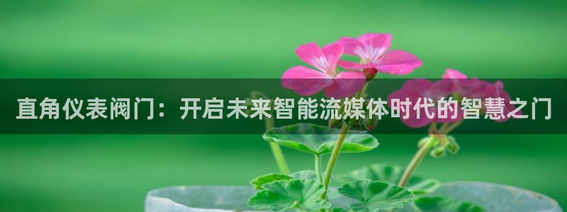 新宝gg返点模式