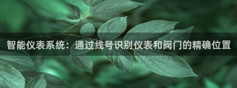 新宝gg登陆新