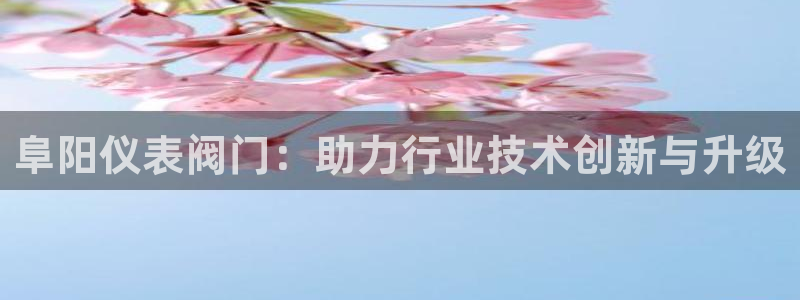 新宝GG都有哪些计划