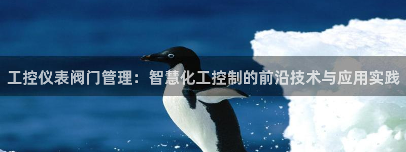 新宝GG管理