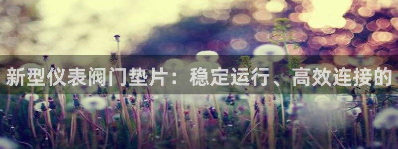 新宝gg会员登录