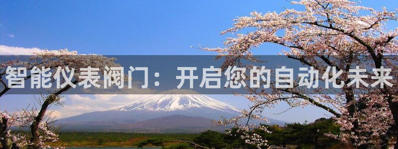 新宝gg手机注册官网