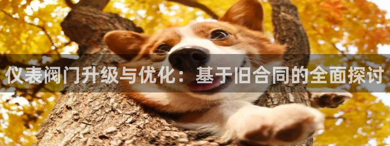 新宝注册gg平台