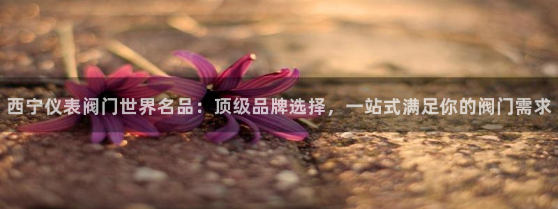 新宝gg新宝5注册