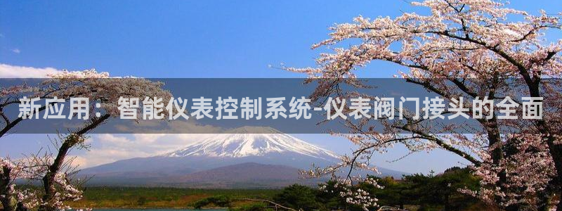 新宝gg平台登录