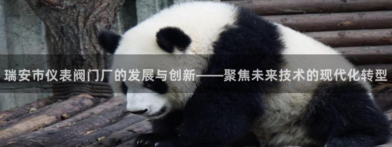 新宝gg注册新宝GG注册登录