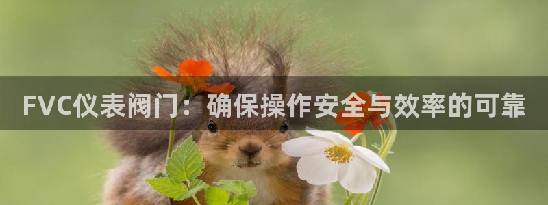 新宝gg客户登录