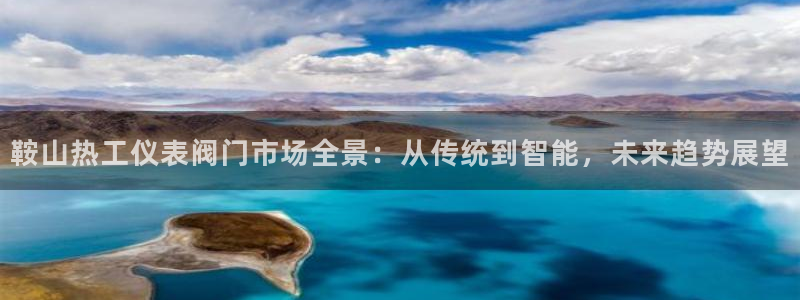 新宝 gg 登录注册